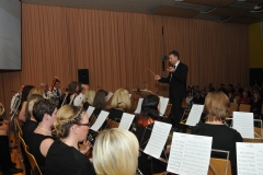 20150417_Themenkonzert_Rodauer (46)